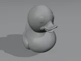 duck toy-3