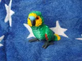 Amazon Parrot-2