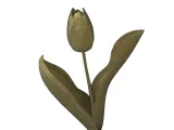 Leaf & Petal Tulip-0