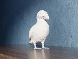 Low Poly Puffin Bird-6