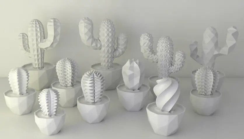 Cactus all kinds