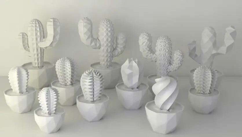 Cactus all kinds