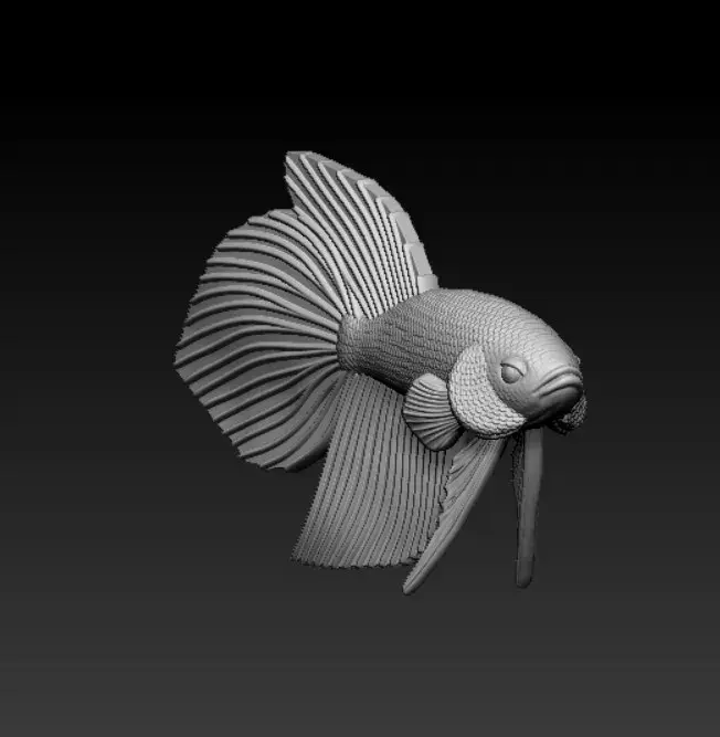 PESCE BETTA CODA DI VELO - PRONTO PER LA STAMPA 3D