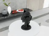 Muscular Cat-2
