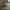 3D Advent Bolivia | Day 11 Coca Leaf Bag