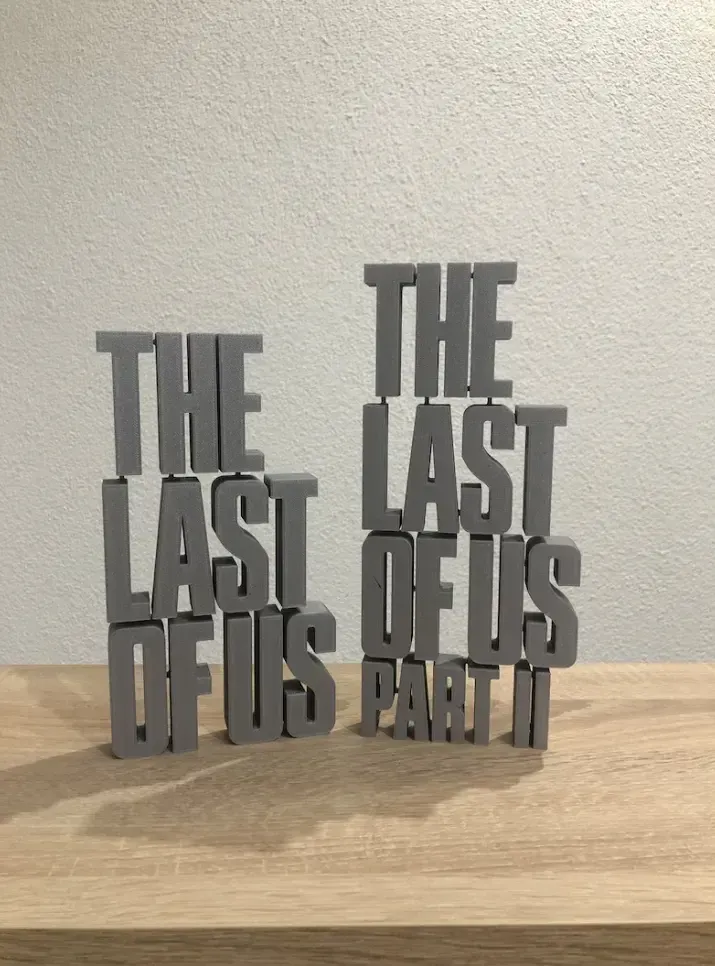 The Last of Us decor game