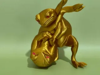 金蝉柔道