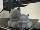 Cat Sleeping-3