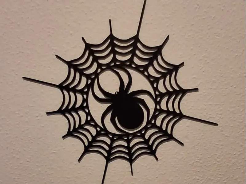 Arte da parete - Ragnatela con ragno