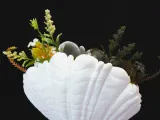 Shell Vase-5