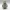 Police Garden Gnome
