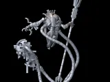 Psy manceros-2
