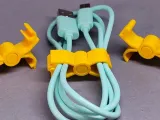 coard crab-0