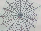 spider web-0