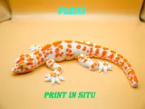 gecko_flexi-2