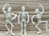 Skeleton-2