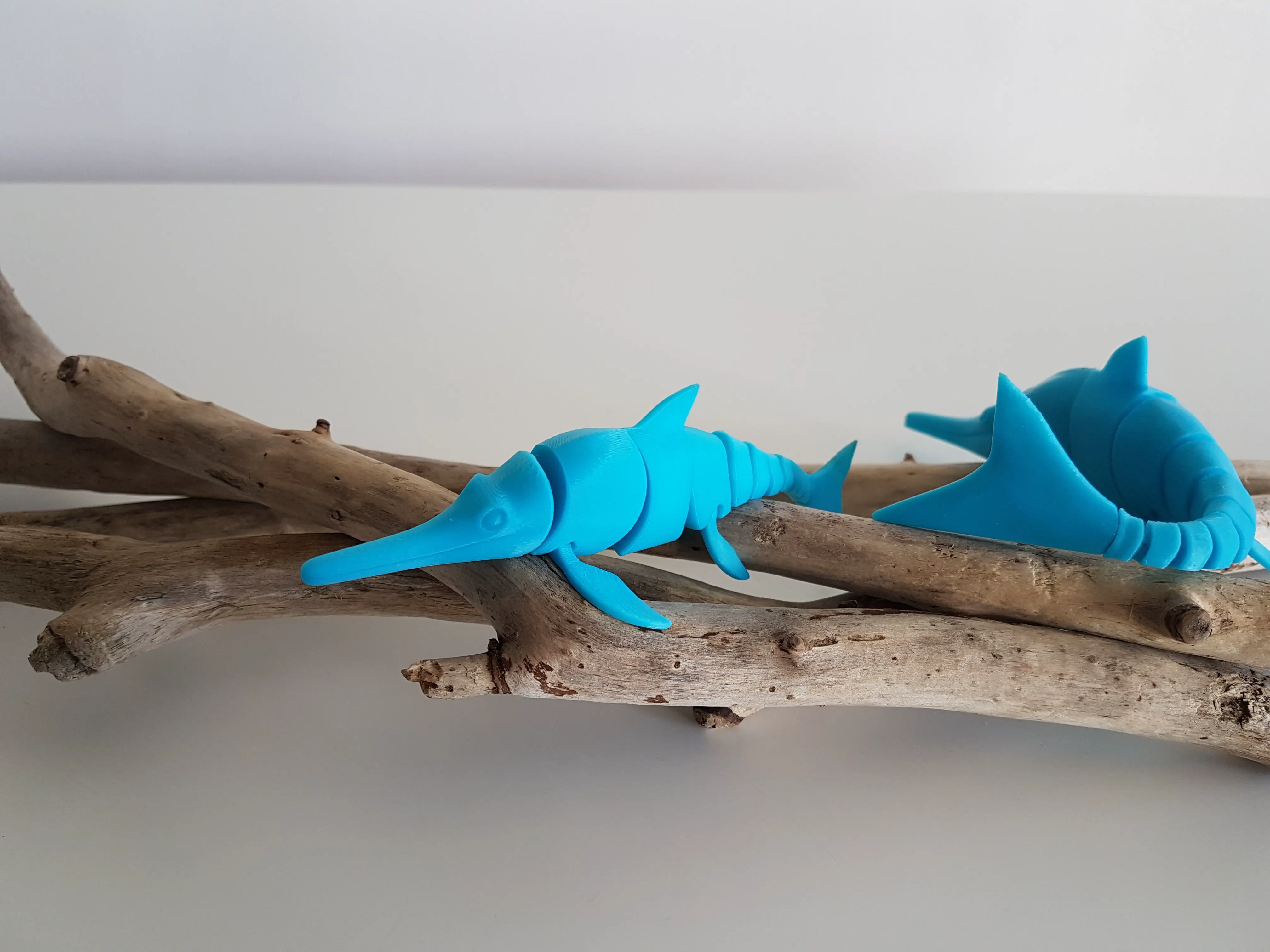 Ichthyosaur Flexi