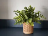 Simple Kumiko Planter-4