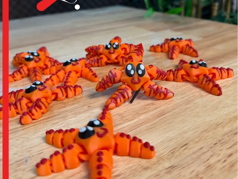 Articulated Starfish – (3 Styles!)