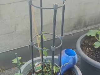 modular climbing frame for plants