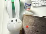 Bunny Boo-2