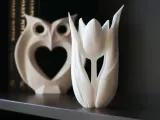 Tulip-1