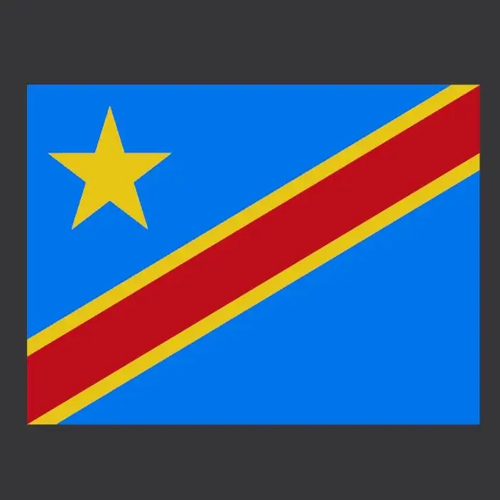 Democratic Republic of the Congo decoration Flag