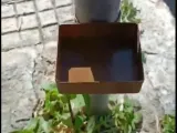 Mangiatoia per animali a bordo strada-1