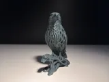 Crow-4