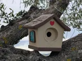 Cute Bird House-1