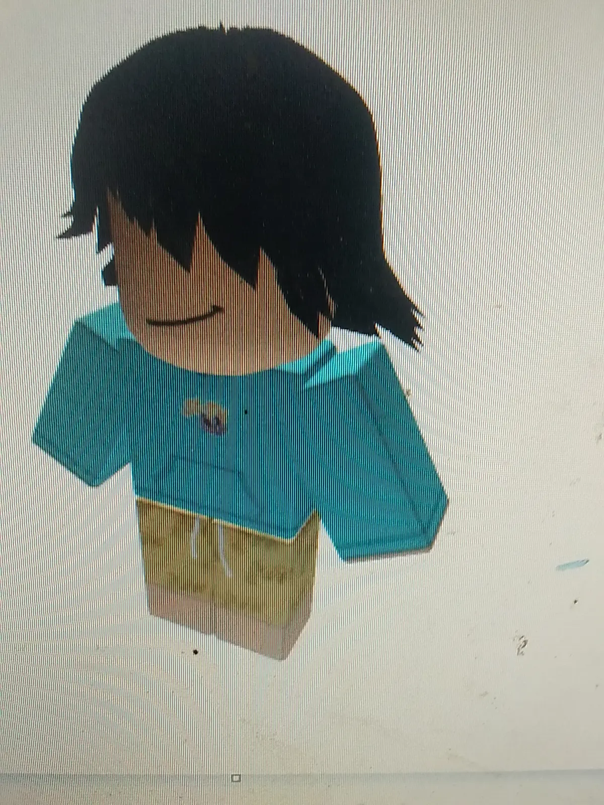 Zackdhanujaya1 roblox shoulder pet