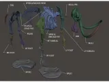 Mammoth skeleton -2