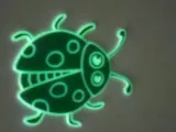 ladybug-2