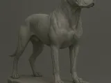 American Pitbull-1