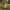 Classic Sitting Garden Gnome - Christmas Decoration