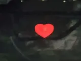 Heart Croc Charm-3