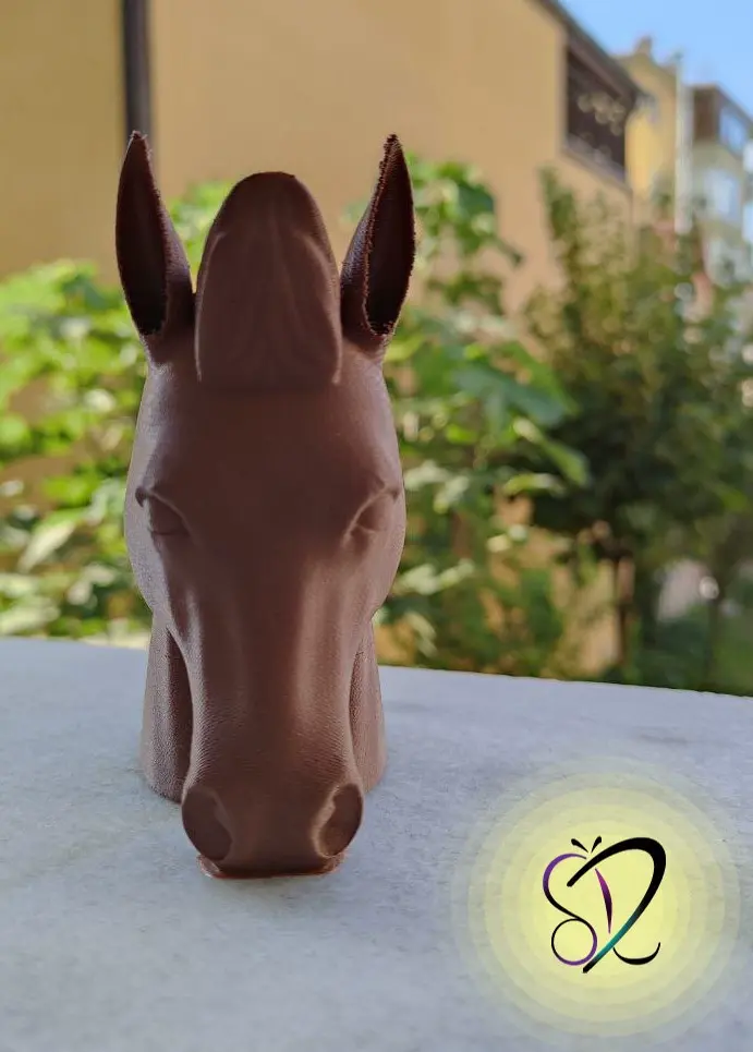 HORSE HEAD