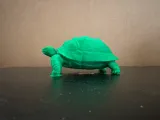 Tortoise-2