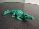Realistic Crocodile-1