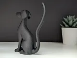 Cane Elegante-5
