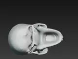 skull-shaped ashtray-3