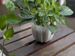 Wavey Planter – 3D Printed Modern Plant Pot