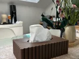 Tissue box cover-3