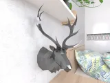 Moorse Head Lowpoly Low poly-0
