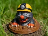 MOLE MINER-1