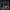 Puppet Master Spider- September 2022 - Puppet masters appren