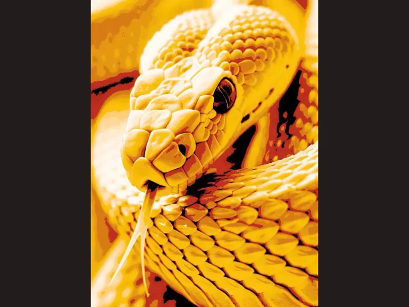 Snake - Canvas Multicolor