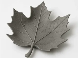 Leaf