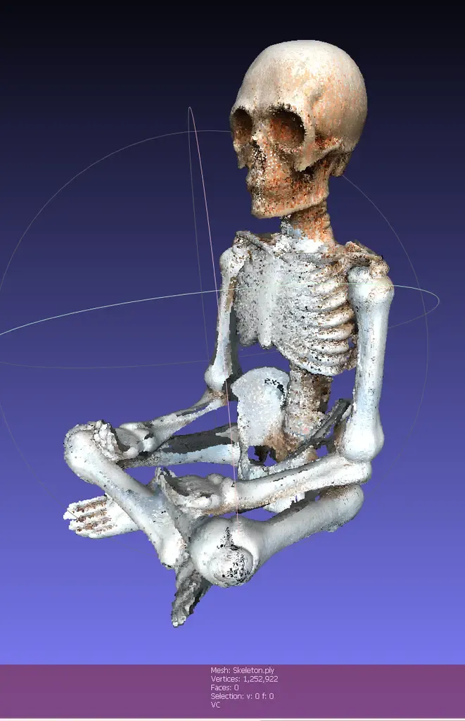 Skeleton Model（generated by Revopoint POP）