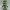 Chibi Green Rage Hero Classic Pose – Mighty Smash Mini